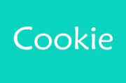 cookie是什么意思?