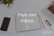 支付米登场，payb.com不容错过