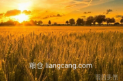 双拼“粮仓”含义佳，liangcang.com千万别错过