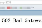 遇到502 bad gateway我们该怎么去解决?