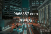 快来围观！最新数字域名9666857.com来啦