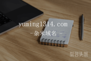 “域名一生一世”！yuming1314.com前来报到