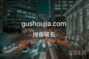 “固收加”闪亮登场，gushoujia.com你是否心动？