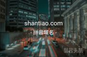 “闪挑”含义如何？shantiao.com在这等你