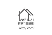 五声母域名前景无限，wlzhj.com闪亮登场