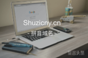 “数字人民比”含义如何？shuzicny.cn等你来取