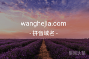 三拼来啦！wanghejia.com心动不如行动