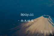 支付领域杂米来啦，9pay.cc你不心动吗？