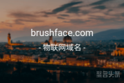 “刷脸”含义如何？单词域名brushface.com等你来取