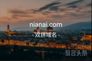 单拼+AI，nianai.com来啦， 稀有Ai人工智能不容错过