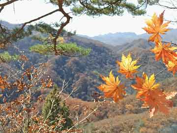 建立网站要花多少钱